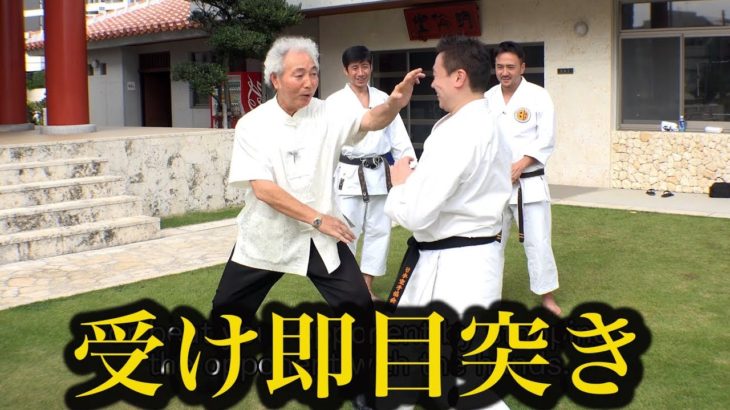 受けたら目突き？超実戦的すぎる沖縄空手の受け Uke of Okinawa Gojyu-ryu Karate