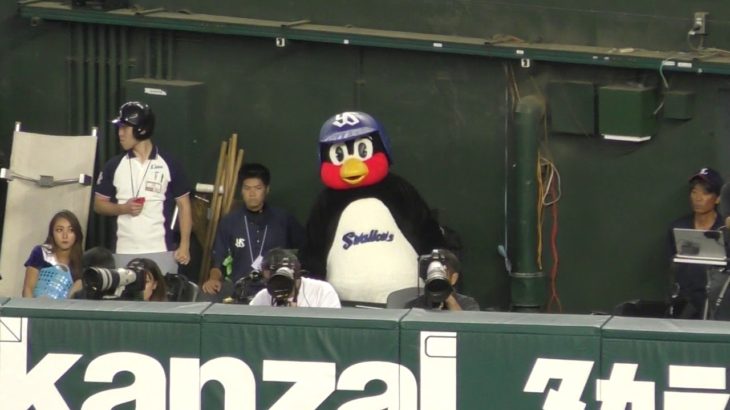 「ジャマだ！どけ！」つば九郎の野球観戦のジャマになるカメラマンに激おこ(# ﾟДﾟ)　２０１８．６．１４