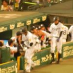 阪神タイガース2017/みんながびっくり。岡崎選手のプロ初ホームランの選手の様子と岡崎コール。(2017.06.03)